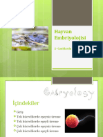 Embriyoloji 2