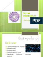 Embriyoloji 5