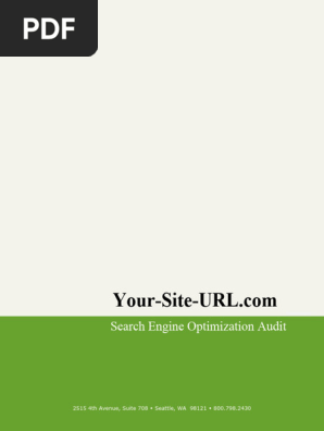 SEO Audit Raw File