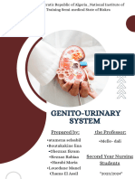 Genito Urinary System Groupe 12