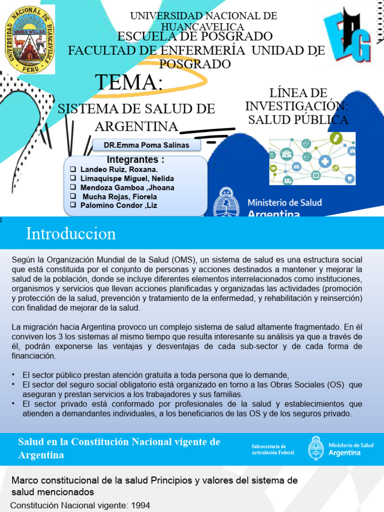 Sistema de Salud en Argentina: Estructura y Cobertura | PDF | Seguro ...