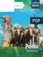 Proyectos de Inversión - Pando