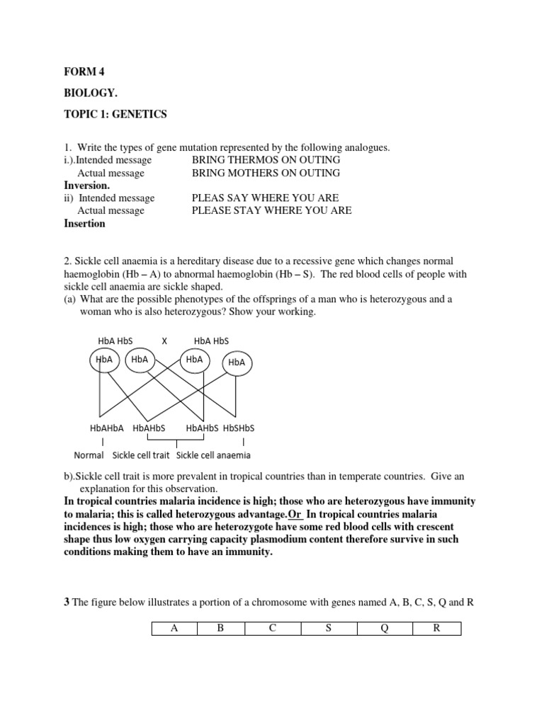 Genetics Questions for Form 4 Students | PDF | Dominance (Genetics ...