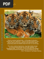 Download Concept Voyages Safaris in Style 2011-12 by Concept Voyages SN69620201 doc pdf