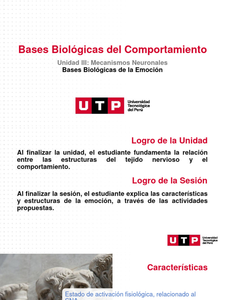 Bases Biológicas de La Emoción. | PDF | Las emociones | Hipocampo
