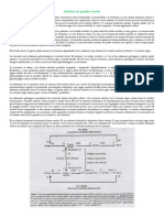 Fisiopatología Del S. de Ganglios Basales