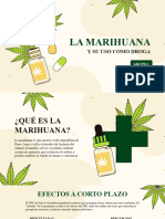 Exposicion - La Marihuana