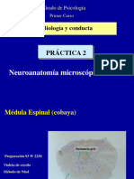 presentación preparaciones Práctica 2-2