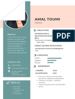 Amal Toumi: Skills