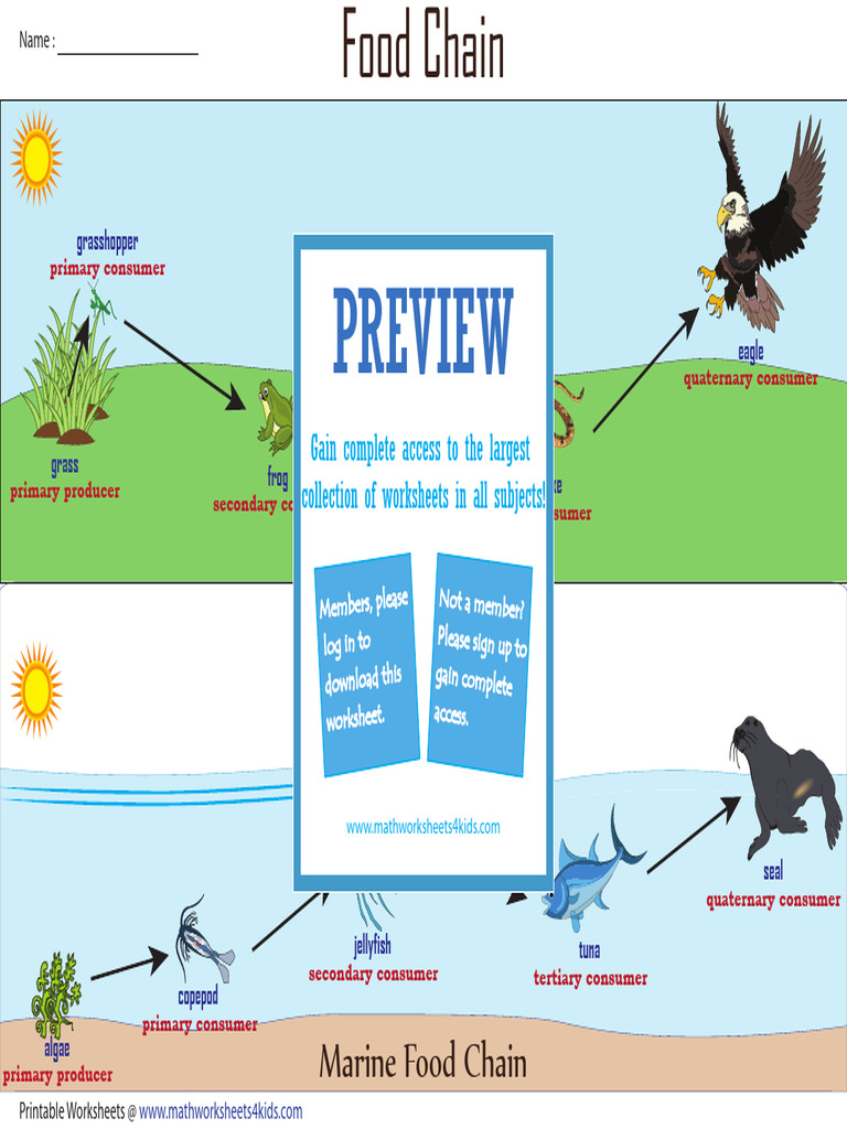 food-chain-chart-pdf