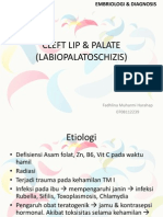 28499518 Cleft Lip and Palate