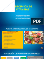 14 Absorción de Vitaminas 2021 1 9 Ehh