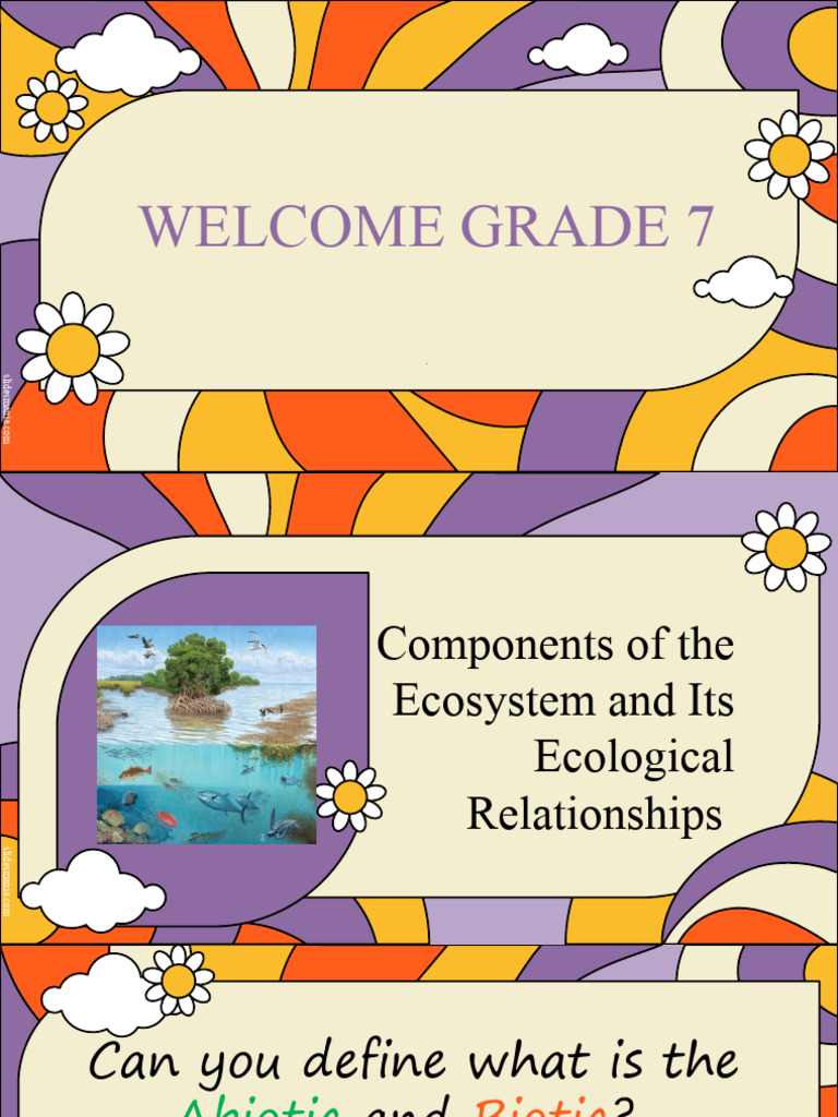Ecosystem Components and Relationships | PDF | Ecosystem | Ecological Niche