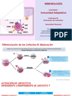 Inmunología: Linfocitos B: Activación de Linfocitos Inmunidad Humoral