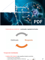 Sistema Nervoso