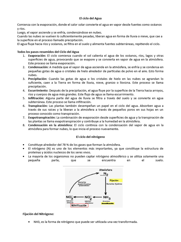 El Ciclo Del Agua | PDF | Ciencias sociales