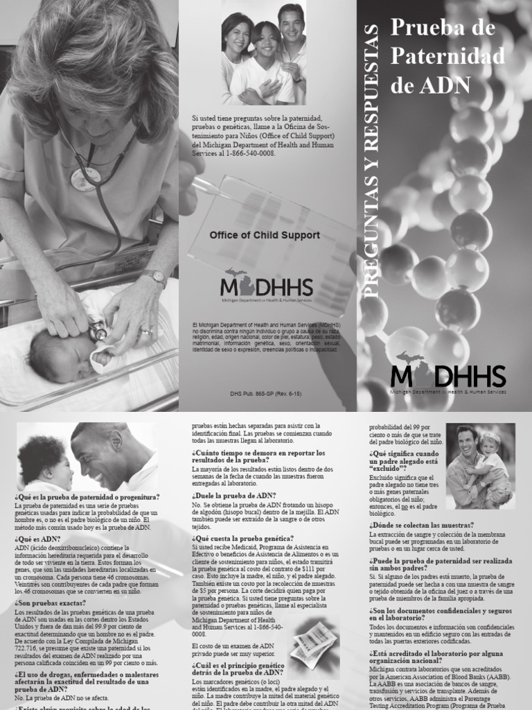Guía Sobre Pruebas De Paternidad En Michigan Pdf