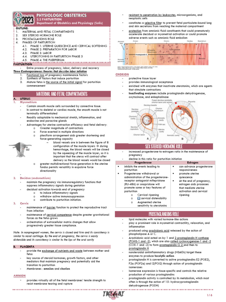 Understanding Parturition Phases and Mechanisms | PDF | Childbirth | Uterus