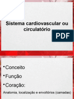 Sistema Cardiovascular e Circulatorio