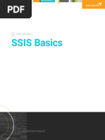 Ssis Basics