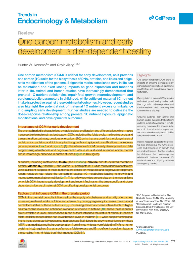 Early Development & One Carbon Metabolism | PDF | Self-Improvement ...