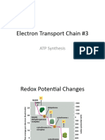 ETC Lecture 3