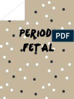 Período Fetal