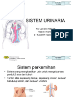 Sistem_urinaria_ppt