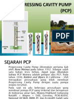 Progressing Cavity Pump