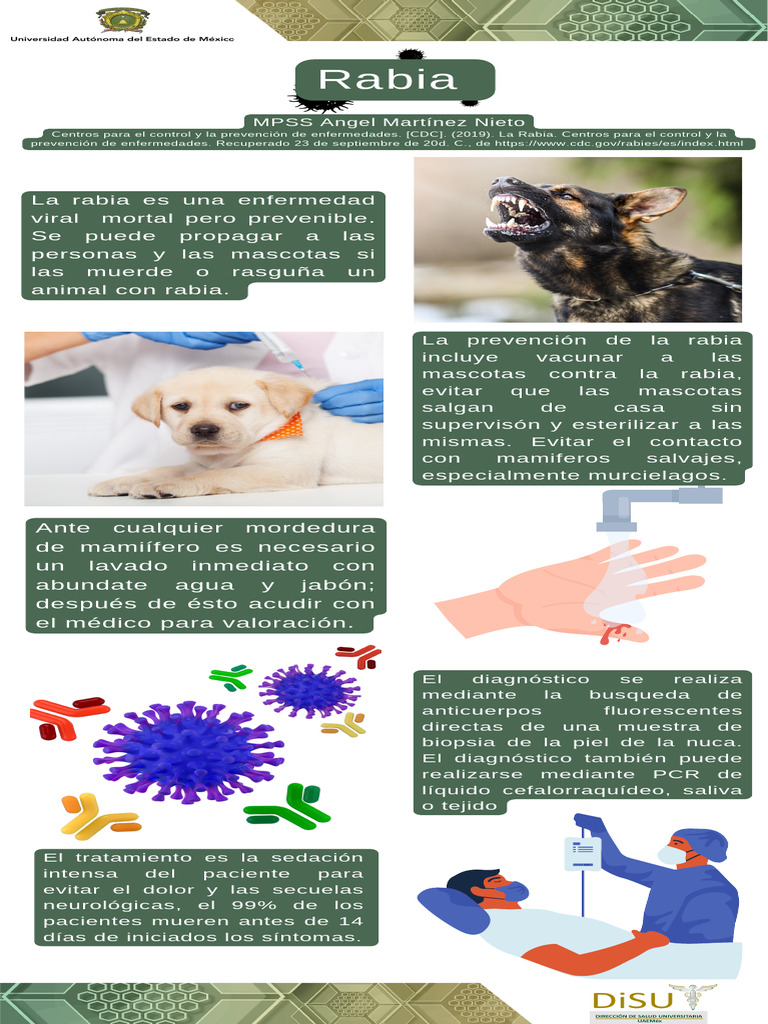Infografía Rabia | PDF