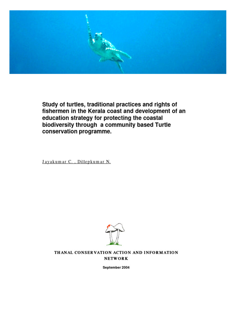 Turtle Conservation in Kerala: Community Insights | PDF | Science ...