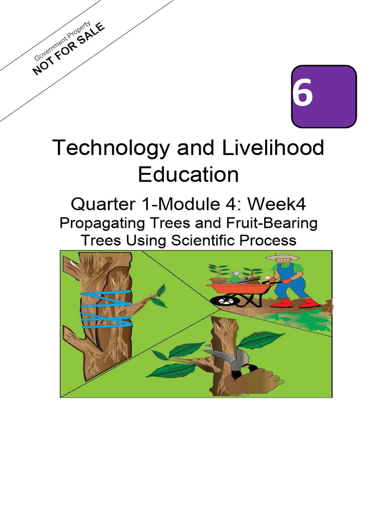 TLE-Quarter-2-Module-4-ADM | PDF