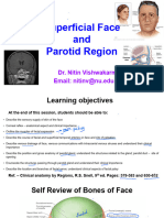 Superficial Face and Parotid Region - 2021