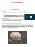 Neurociència Cognitiva Tema 2