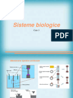 Curs 3 Biocel