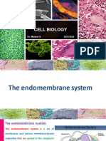 Endomembrane System