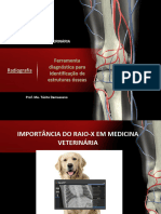 Anatomia Radigráfica.