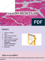 Tejido Muscular