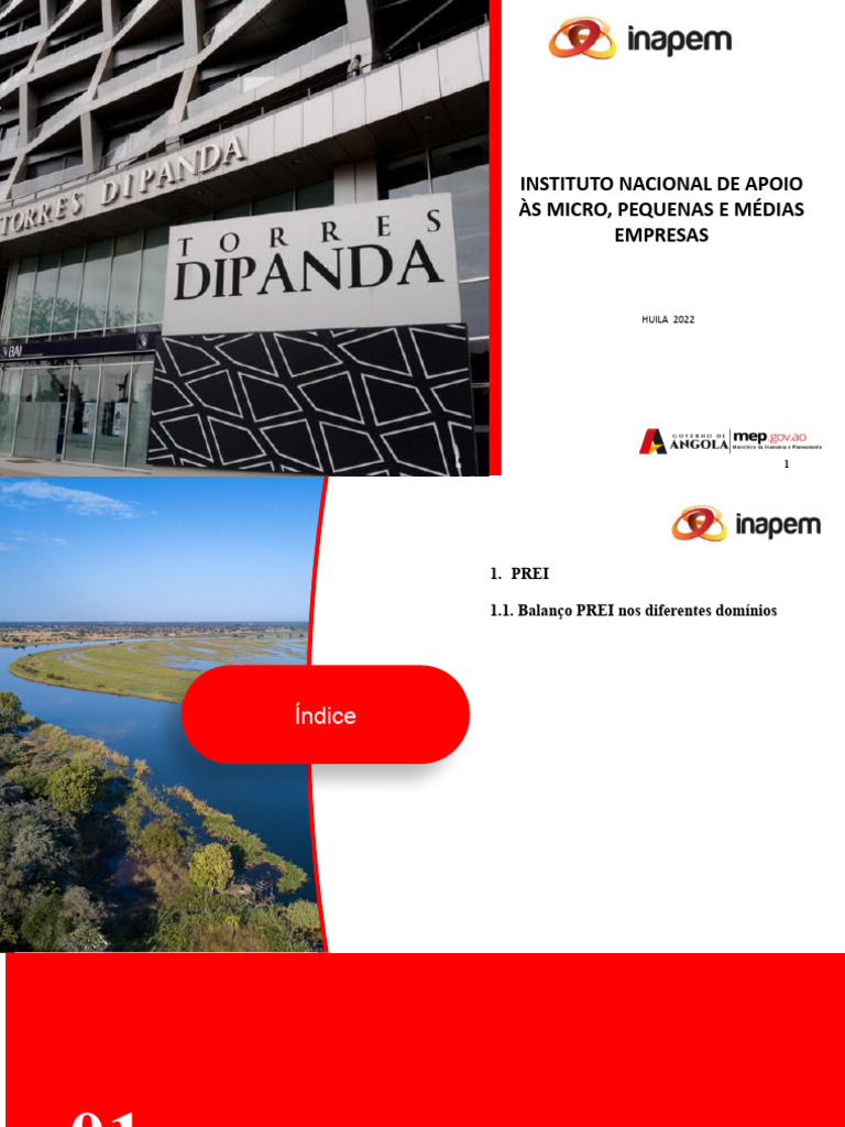 Apresentacao Do INAPEM 2022 - HUÃ - LA VF | PDF
