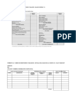 234 Formato31 Libro de Inventarios y Balances Sunat
