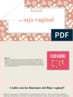 Flujo Vaginal