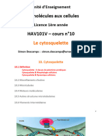 HAV101V CM10 Cytosquelette 2022-2023