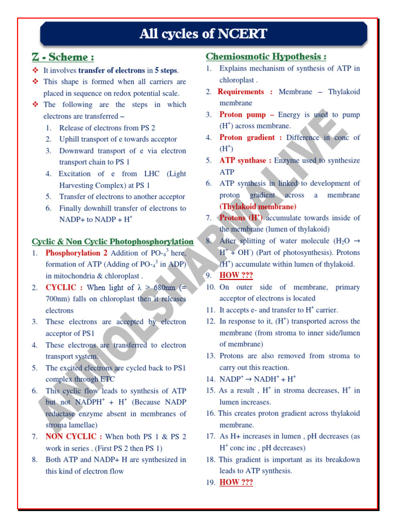 All Cycles of NCERT PDF