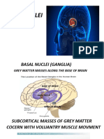 Basal Nuclei & Limbic System