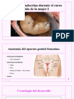 Clase 4 Ginecología I