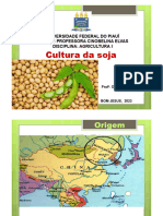 Cultura Da Soja