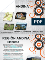 Diapositivas Region Andina