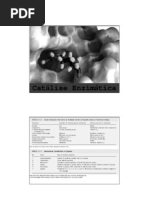 20081_qmc5406_catalise_enzimatica