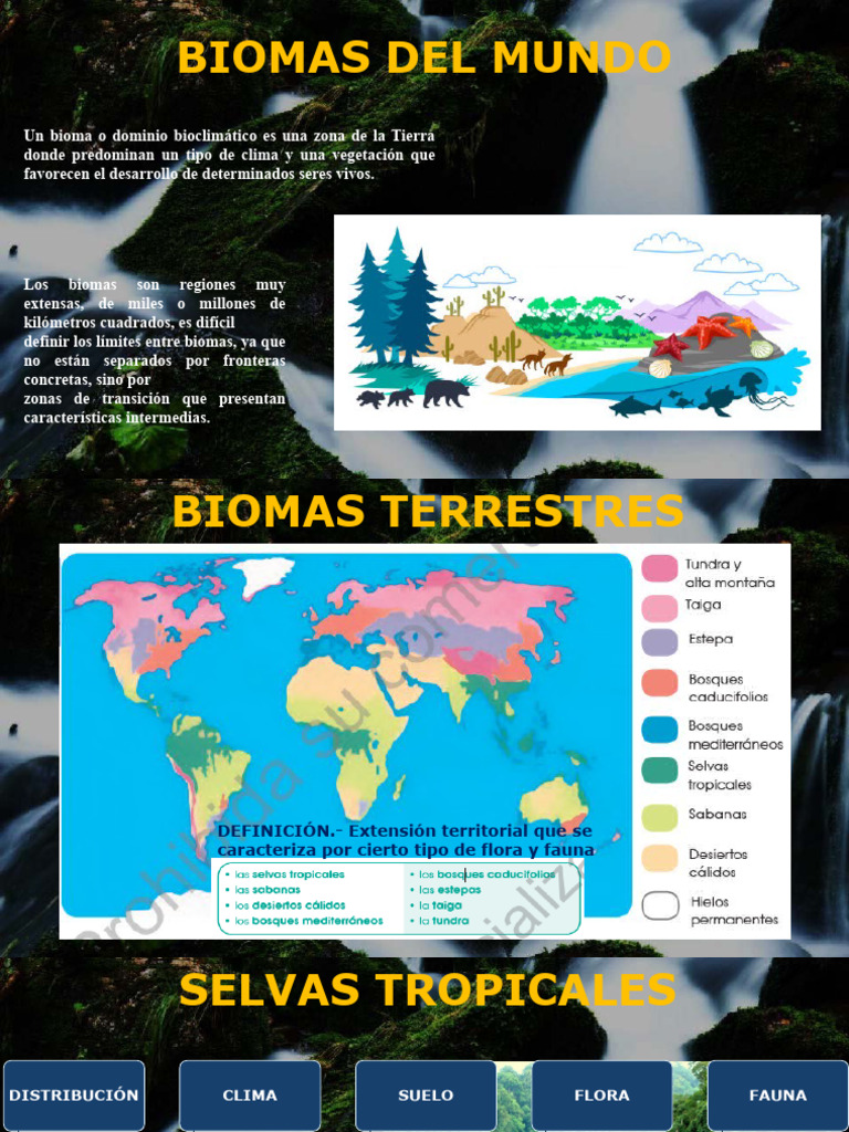 Guía de Biomas del Mundo | PDF | Geografía Física | Clima