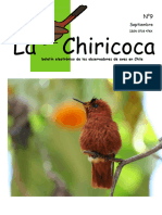 La Chiricoca 9 - C